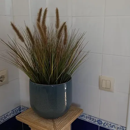 El Balcon De Alexia, 5 Minutos Del Aeropuerto 아파트 Partida de La Cañada